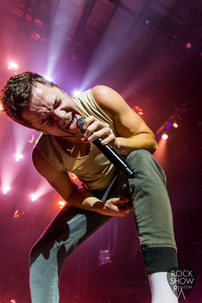 8 Questions With Concert Photographer Seth Shapiro